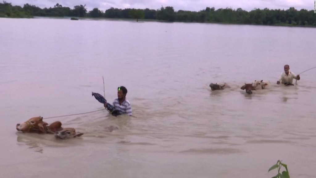 5 cosas: casi 500.000 personas afectadas por las inundaciones en India