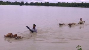 5 cosas: casi 500.000 personas afectadas por inundaciones en India