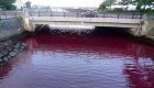 El mar se tiñe de un color rojo que queda en Japón