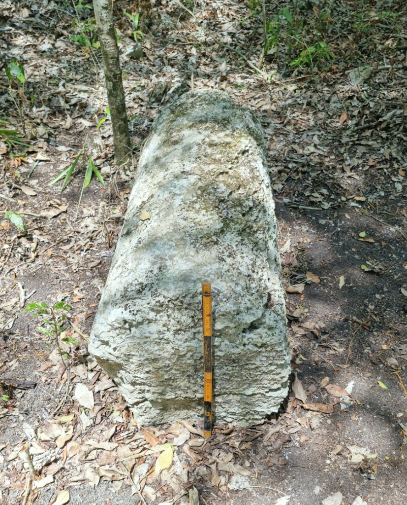 Una de las columnas encontradas en Ocomtún.  (Crédito: Instituto Nacional de Antropología e Historia)