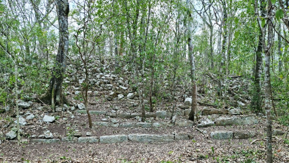 Una antigua ciudad maya descubierta en la selva del sureste