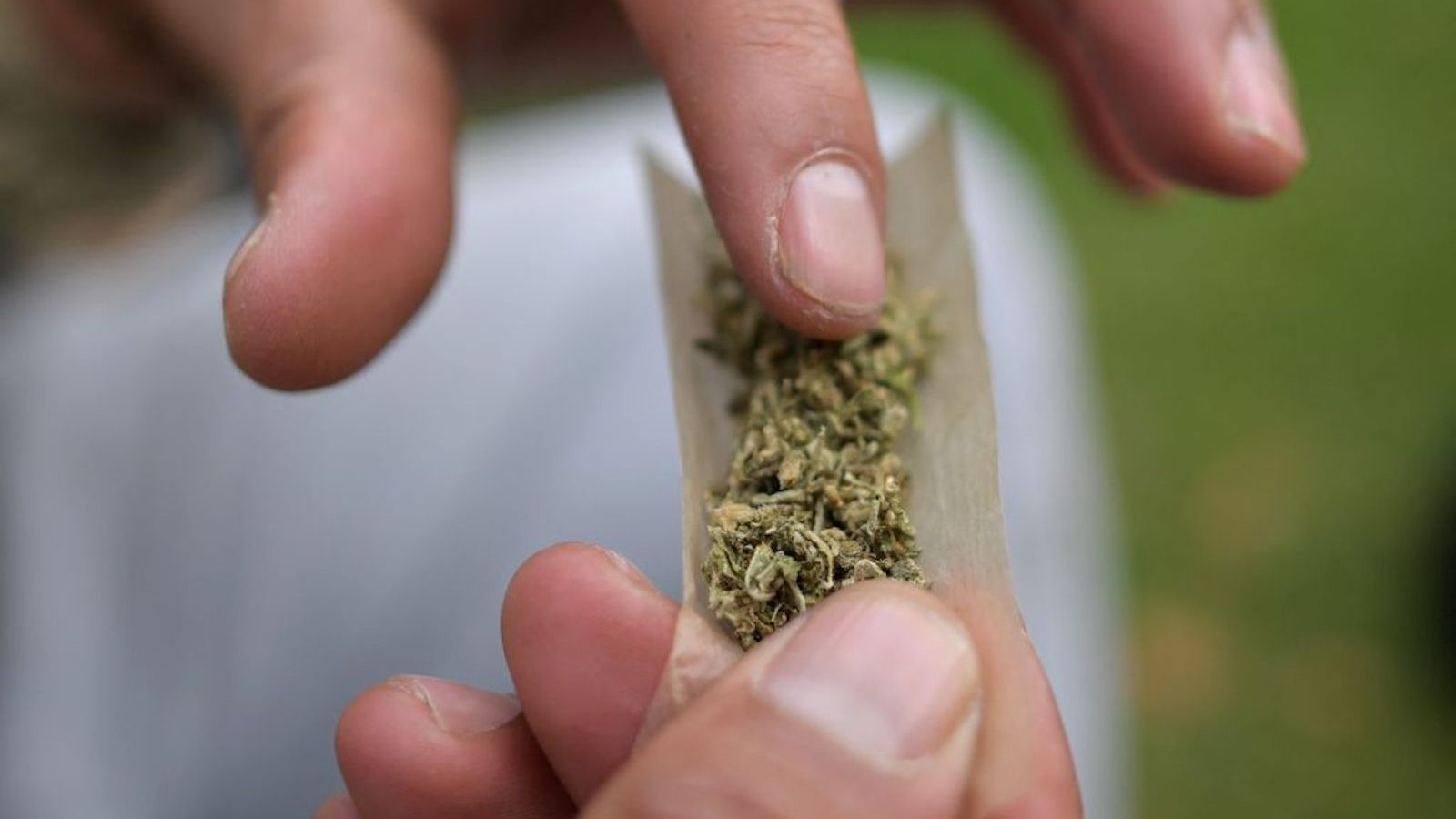 El Senado de Colombia avanza en un debate decisivo para regular el uso recreativo del cannabis entre adultos