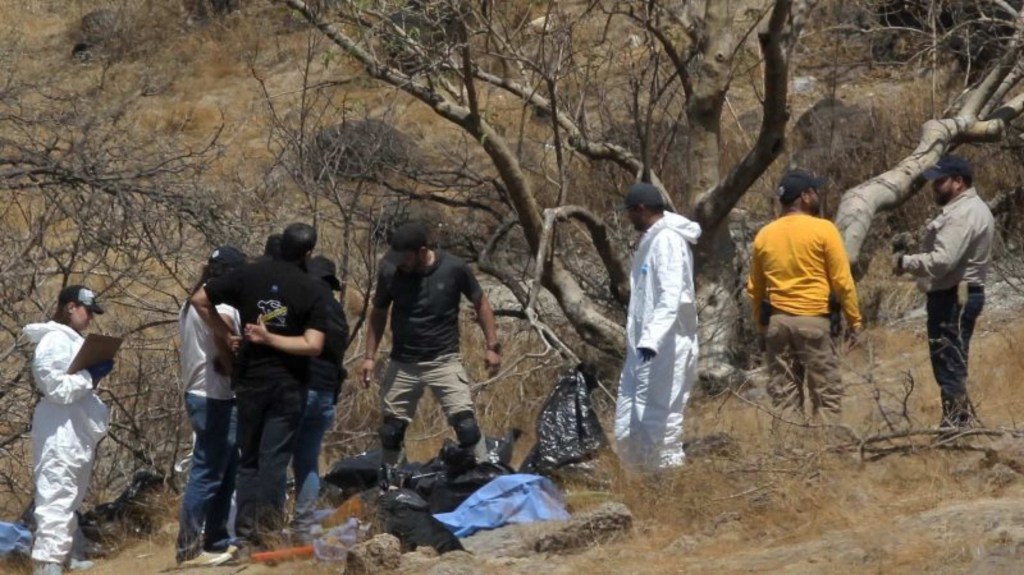 Expertos forenses trabajan con varias bolsas de restos humanos extraídas del fondo de un barranco por un helicóptero (Crédito: Ulises Ruiz/AFP/Getty Images)