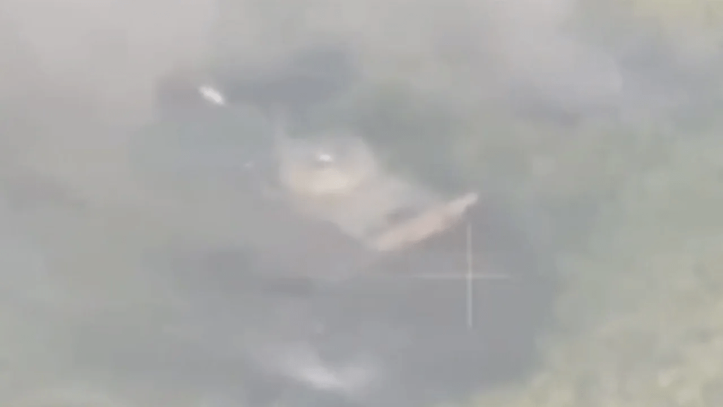 El video de dron muestra el tanque estático tras chocar aparentemente contra una mina cerca de las líneas ucranianas. (Foto: Romanov_92/Telegram)