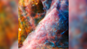 Esta imagen del instrumento infrarrojo medio del Webb muestra una pequeña región de la nebulosa de Orión. (Crédito: ESA/Webb/NASA/CSA)