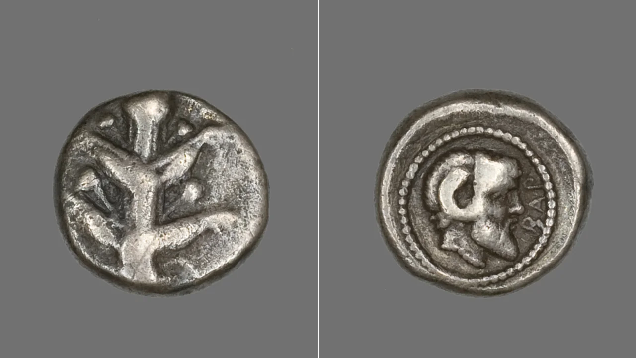 Una moneda que representa la planta de silfio ahora extinta data del 480-435 a.C. (Heritage Images/Getty Images)