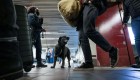 Las reglas que proponen para mantener a EE.UU. sin casos de rabia canina