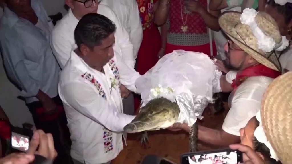 Mira este antiguo ritual mexicano: el alcalde se casa con un cocodrilo