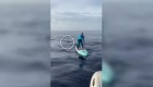 Un tiburón acecha a una mujer que hacía surf de remo