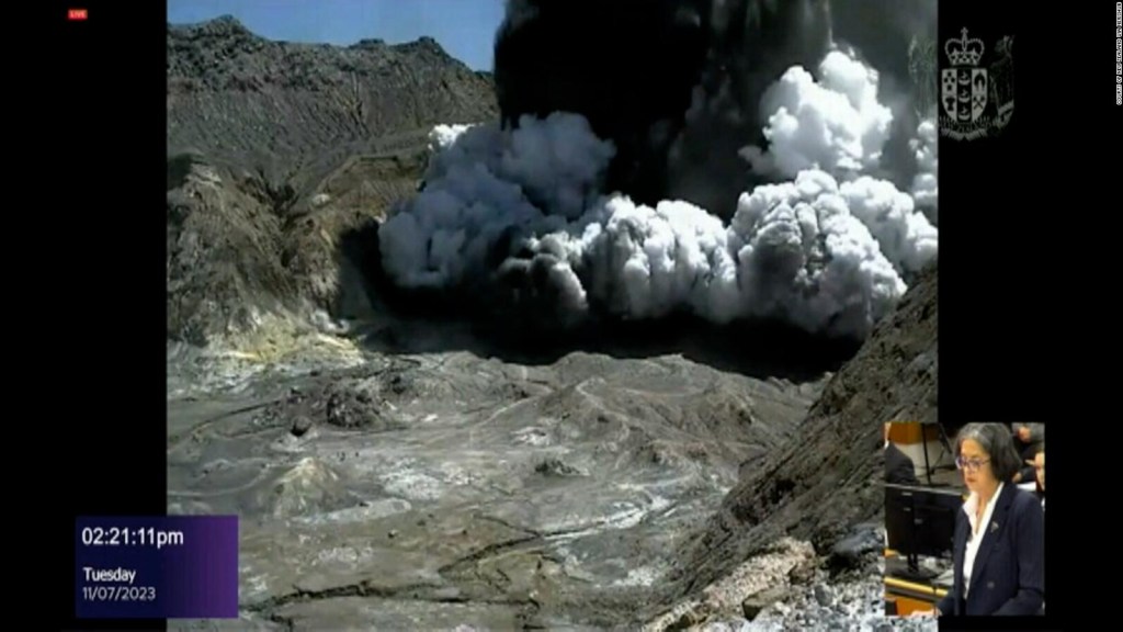 Video shows tourists fleeing volcanic eruption in New Zealand