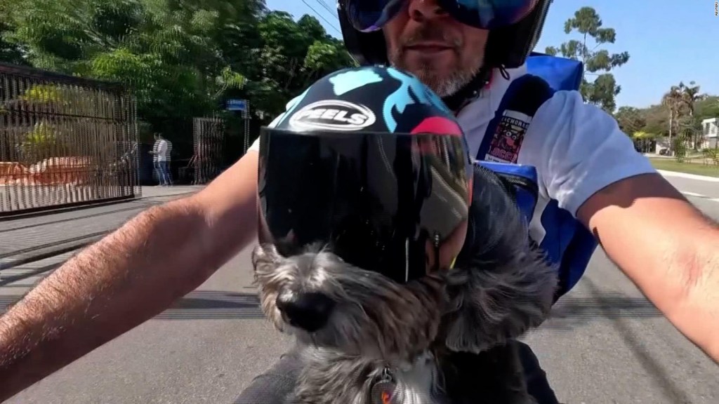 Motociclista y su perrita ayudan a perros en Brasil