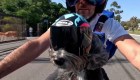 Motociclista y su perro ayudan a perros en Brasil
