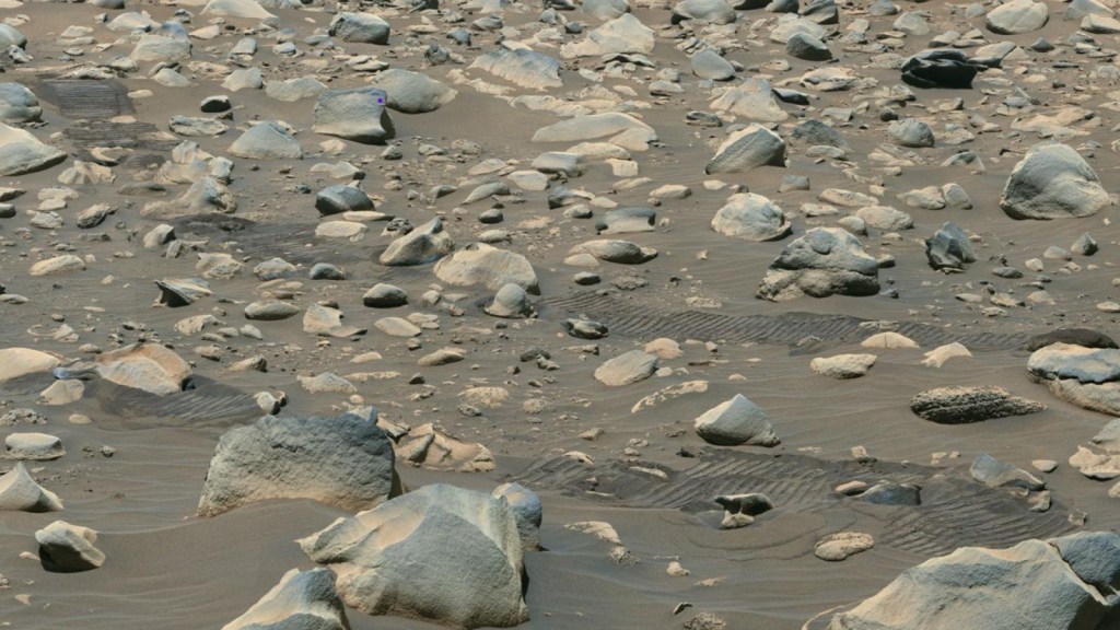 El Perseverance de la NASA recolecta muestras en un viejo río de Marte