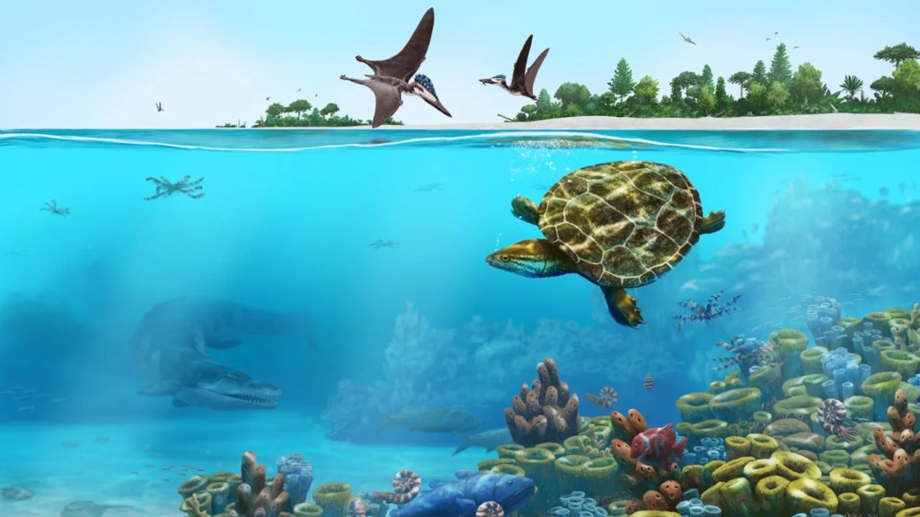 Una recreación artística muestra a la extinta tortuga marina en su entorno marino costero. El hábitat de S. parsonsi era probablemente una red de arrecifes y lagunas costeras. (Crédito: Peter Nickolaus)