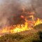 Las llamas envuelven una casa mientras arde un incendio forestal en Saronida, cerca de Atenas, Grecia, el lunes. (Foto: Stelios Misinas/Reuters)