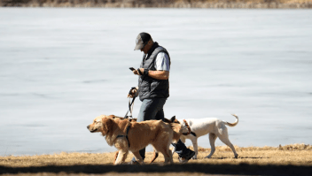 Un paseador de perros consulta su teléfono mientras pasea a los perros el 21 de febrero de 2023, en el parque Washington de Denver. (Foto: David Zalubowski/AP)