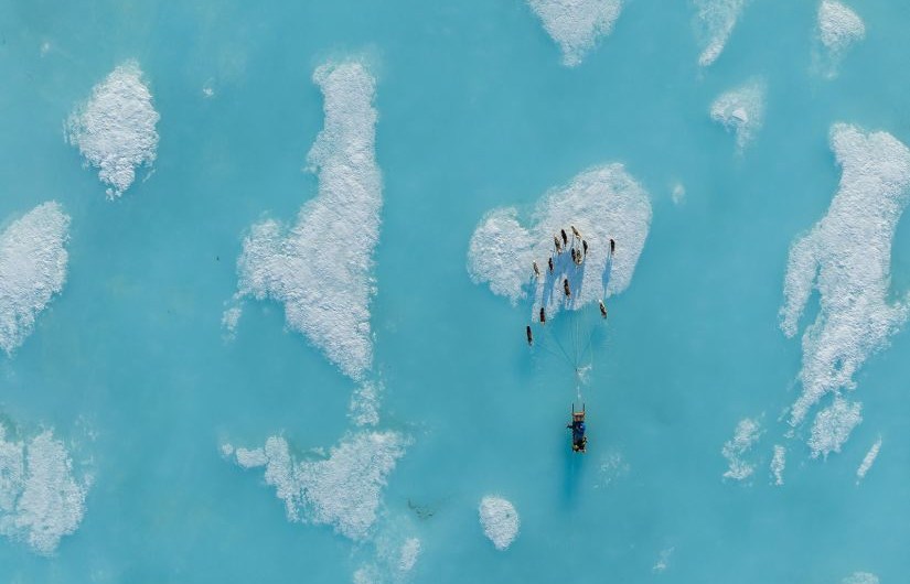 Durante una carrera nocturna en las afueras de Iqaluit (Nunavut, Canadá) en junio de 2022, un equipo canino corre entre charcos de agua que se han formado sobre el hielo marino derretido. Normalmente, desde finales de diciembre hasta junio, gran parte del agua de esta zona está congelada. Pero a medida que suben las temperaturas, la nieve que cubre el hielo se derrite, creando grandes charcos de agua que revelan el hielo azul turquesa que hay debajo. (Crédito: Dustin Patar)