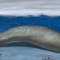 ballena colosal perucetus fósil