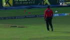 Esta serpiente paró un partido de críquet al invadir el campo