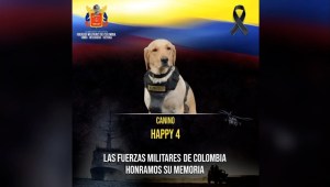 Una explosión provocó la muerte de un perro del Ejército Nacional de Colombia