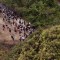 Cifra de migrantes que cruzan la selva del Darién rompe nuevo récord