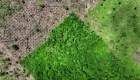 Deforestación en la Amazonía brasileña en su nivel más bajo en 6 años
