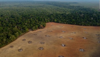 ¿Cuál es la propuesta de Petro para cuidar la selva amazónica?