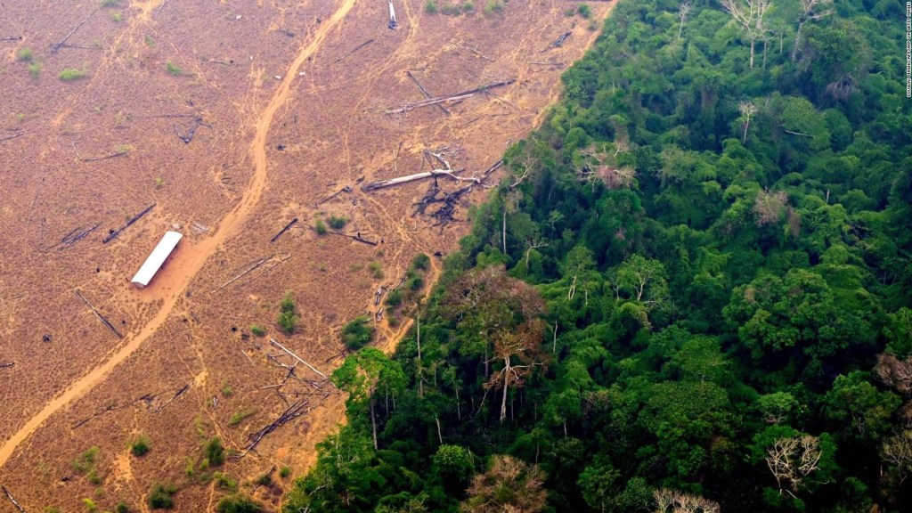 Los esfuerzos de Brasil para salvar el Amazonas