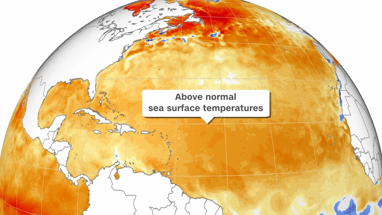 temperaturas océanicas