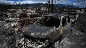 "Mi casa quedó 100% en cenizas": efectos de los incendios en Maui