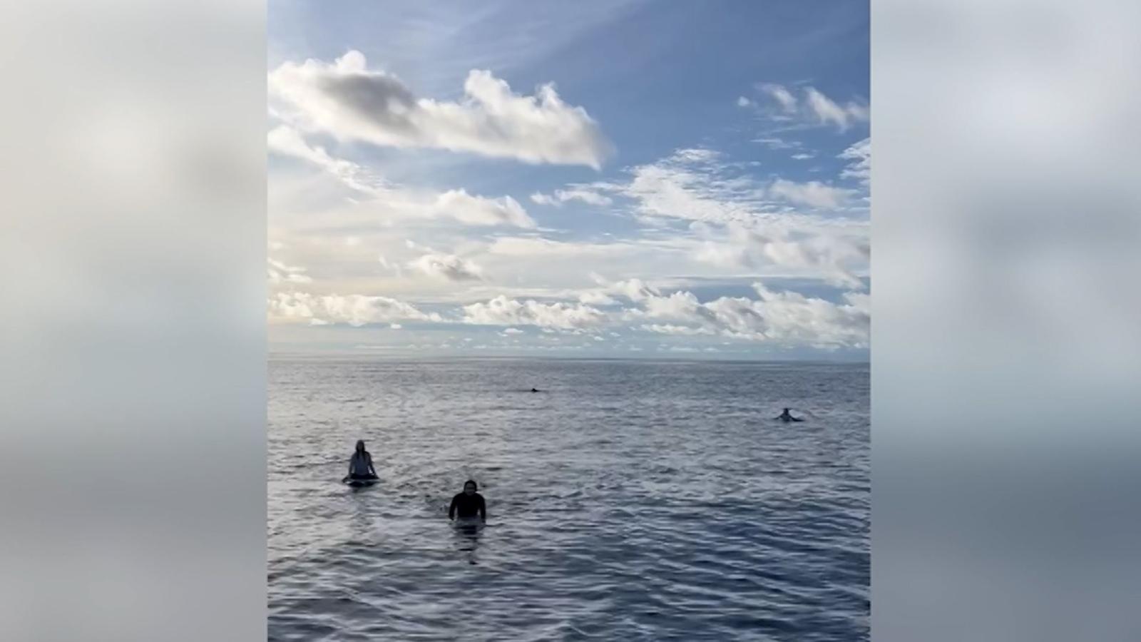 Mira el momento en que surfistas son encontrados tras 38 horas
perdidos en el mar de Indonesia