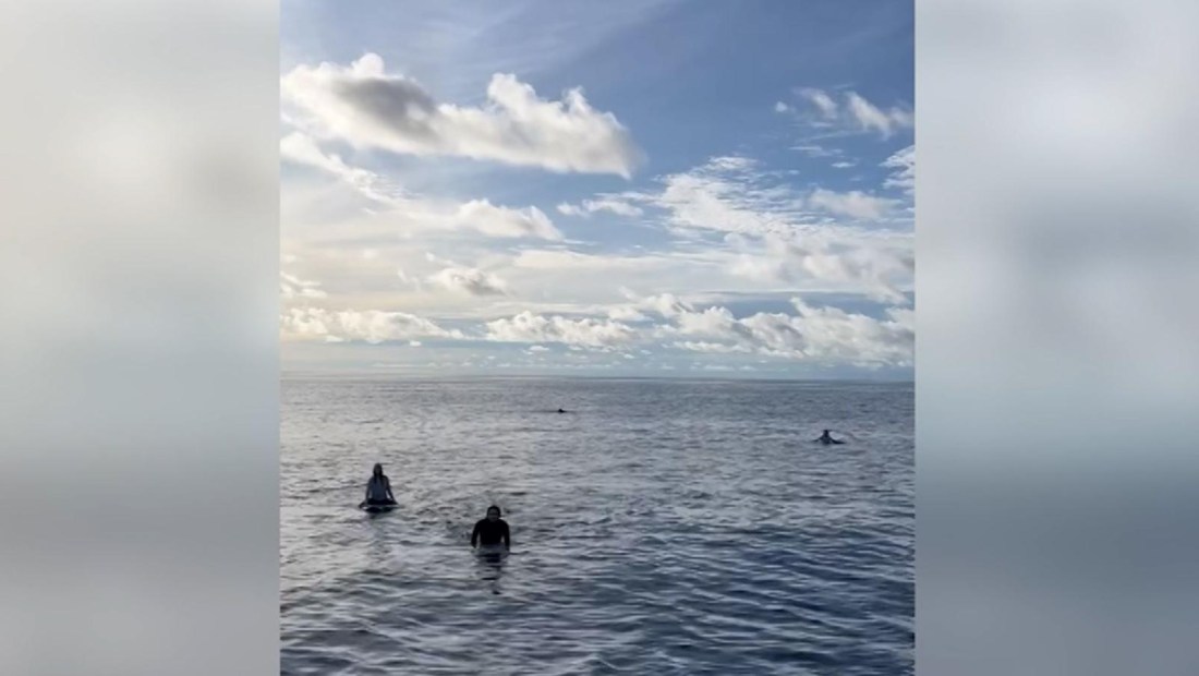 Encuentran a surfistas tras 38 horas perdidos en el mar