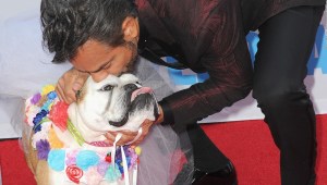 Eugenio Derbez y la muerte de su mascota Fiona