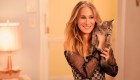 ¡Sarah Jessica Parker adoptó al gatito de la serie "And Just Like That"!