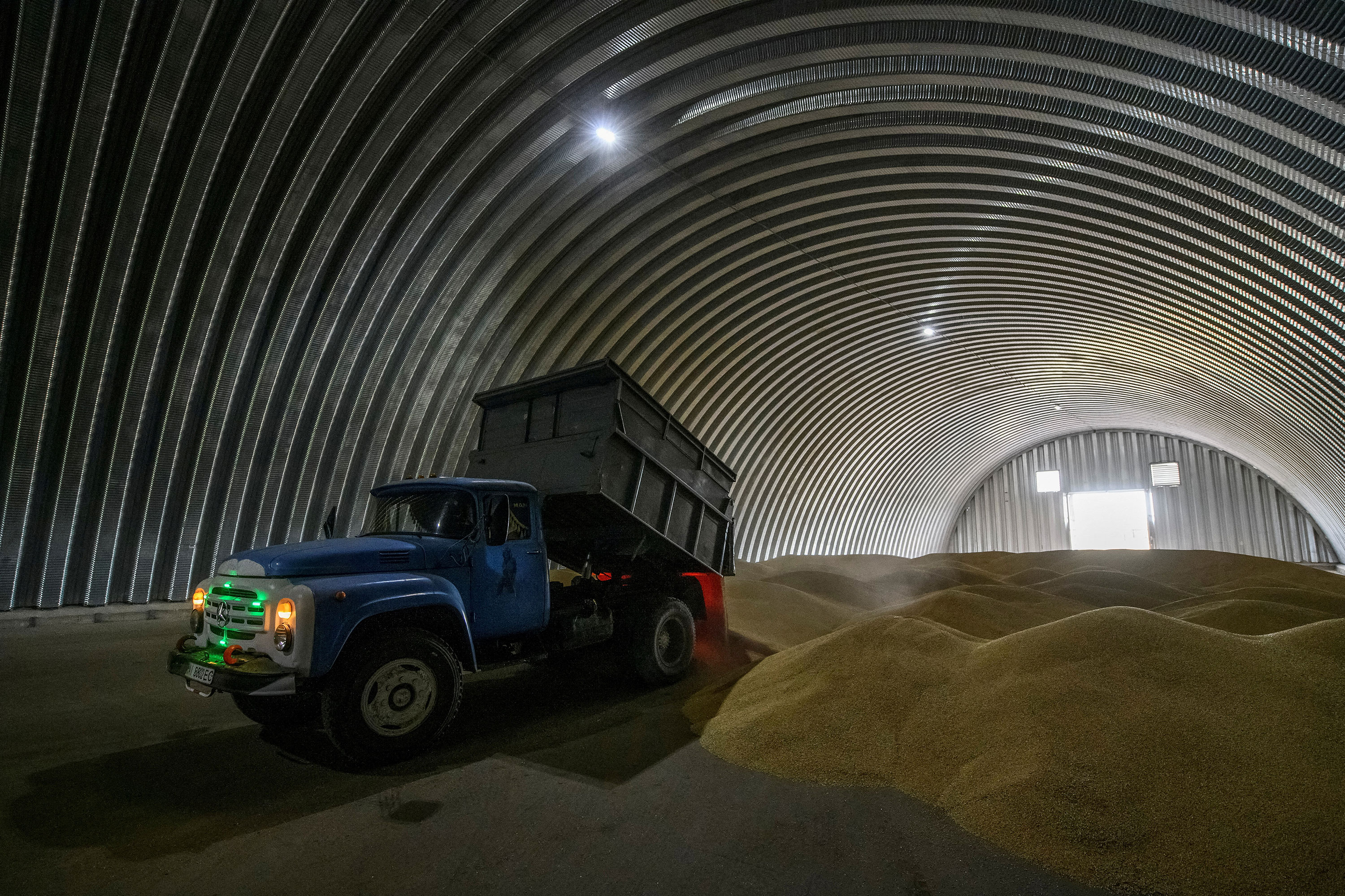 Granos de trigo son descargados dentro de un almacén en Zghurivka, Ucrania, el 9 de agosto. (Foto: Viacheslav Musiienko/Reuters/Archivo)