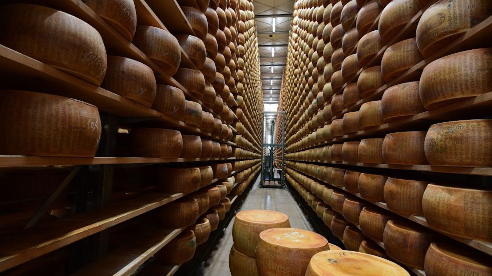 Un casaro italiano morì dopo essere stato schiacciato da 16.000 pezzi di formaggio a pasta dura