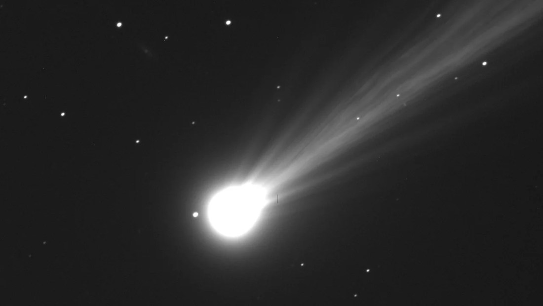 cometa nishimura