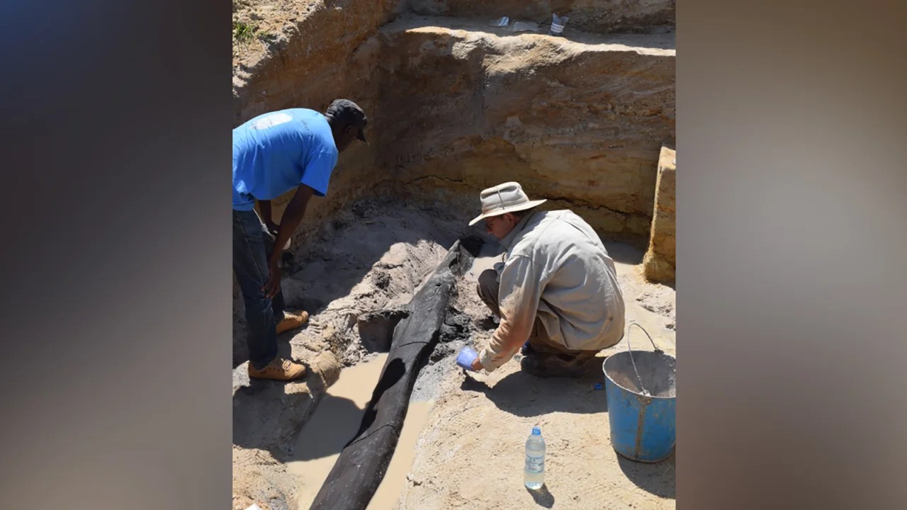 Archaeologists Discover Oldest Known Wooden Structure, Over 400,000 Years Old