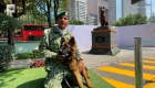 Así rinden homenaje a Proteo, el can fallecido en los rescates del sismo Turquía