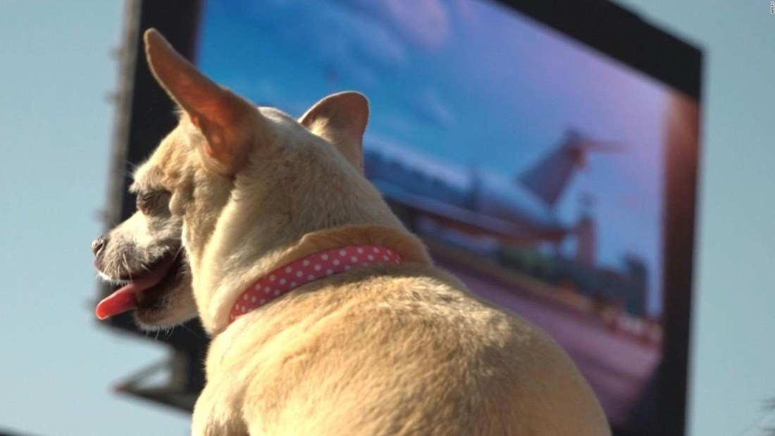 Paramount Studios junto a estos perros logran romper un récord Guinness