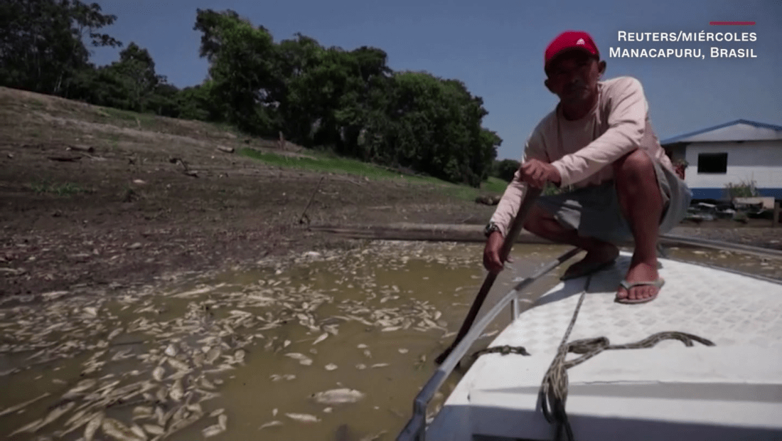 Peces muertos, altas temperaturas y sequías azotan la región amazónica