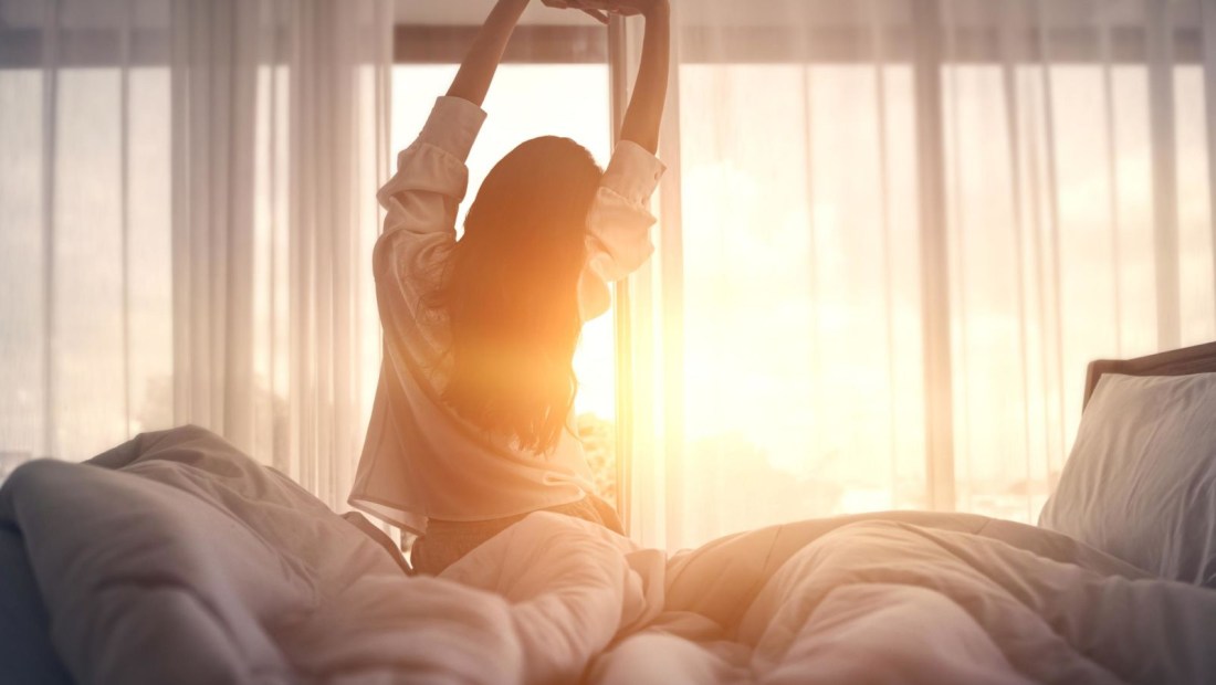 Dormir bien es crucial para que el cerebro se restaure y regenere.
