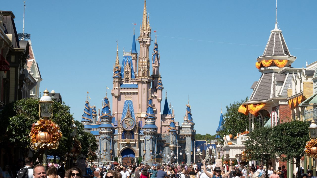 They captured the bear seen at Disney World that caused several areas of the Magic Kingdom to close
