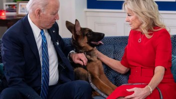 Por morder a varias personas, retiran de la Casa Blanca a perro de Biden