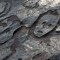 Estos rostros humanos podrían haber sido esculpidos en piedra hace 2000 años.
