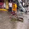 Capturan una serpiente en las calles de Acapulco tras el huracán Otis