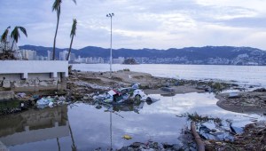 Rescatista alerta desesperación en Acapulco por agua y alimentos