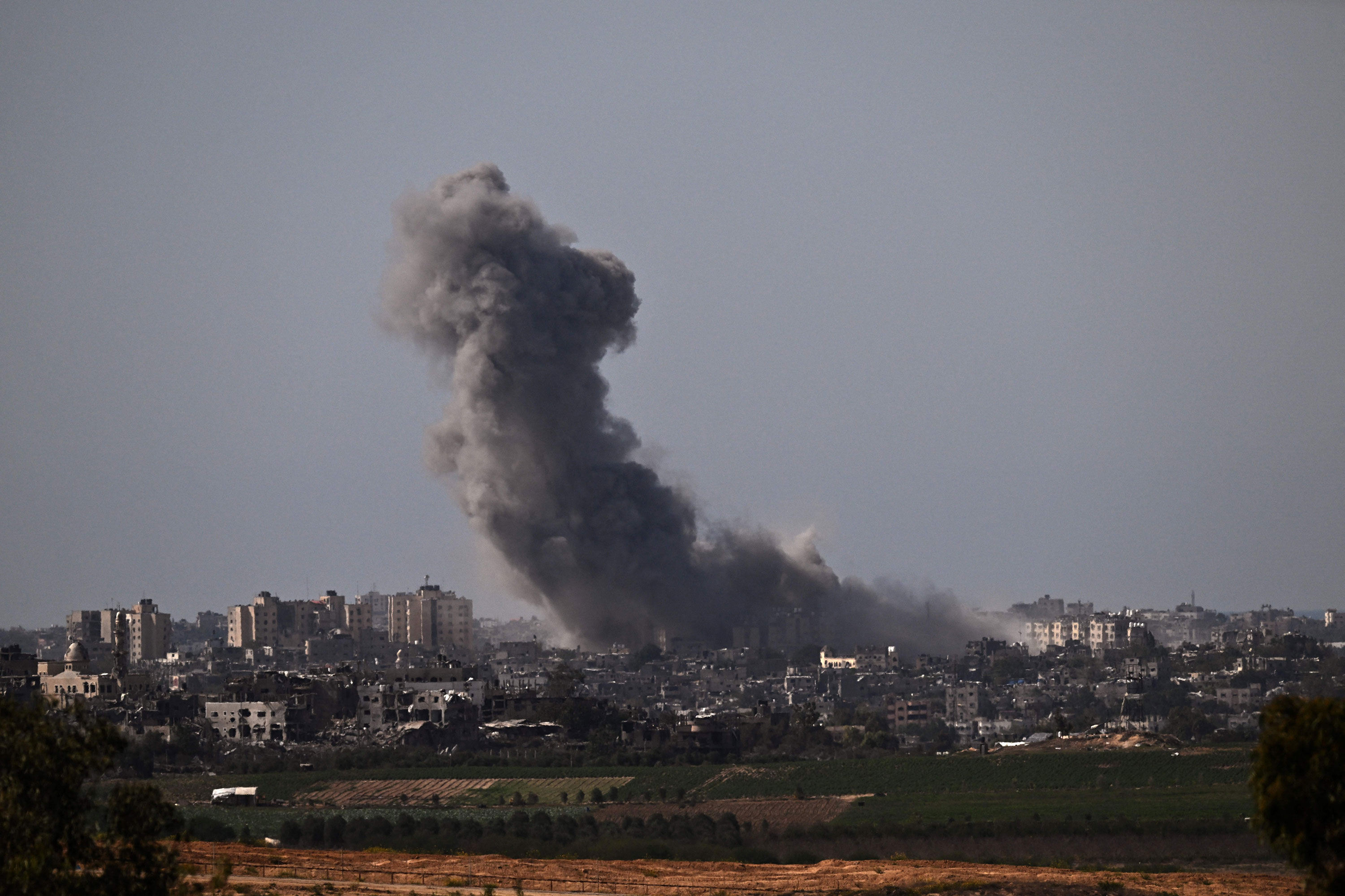 Deaths in Gaza, Israeli response and more