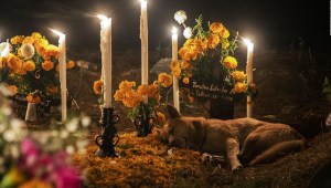 Así recuerdan a los difuntos en los panteones de México el Día de Muertos