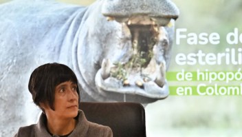 ministra colombia hipopótamos pablo escobar